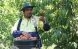 फलोअपः क्विन्सल्याण्डको मुन्डाबेरा कृषि फार्ममा डेढ सय कामदार माग