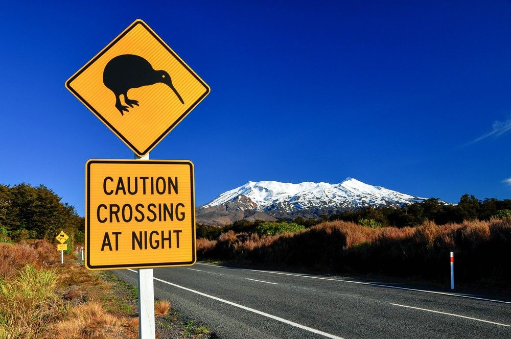 New Zealand would ease coronavirus border restrictions form November 2021